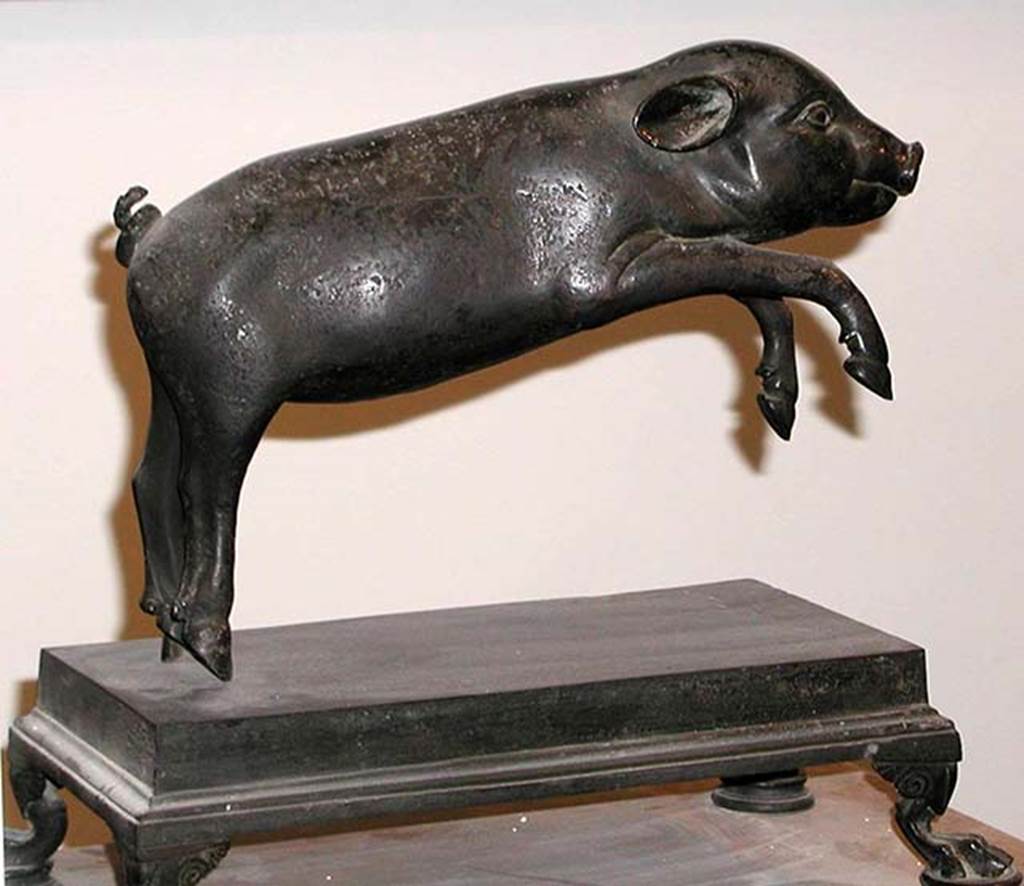 Villa dei Papiri, Herculaneum. Bronze statue of a pig or boar. Found in 1756, between the east portico and the pond.
Now in Naples Archaeological Museum. Inventory number 4893.